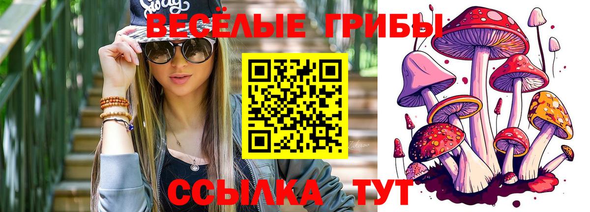 наркотики  Вход с VPN  Ржев  Псилоцибиновые грибы мицелий  Галлюциногенные грибы прущие грибы 